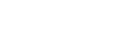 ISS Intelligent Security Systems