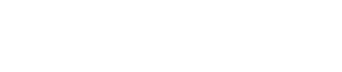 WiseDV